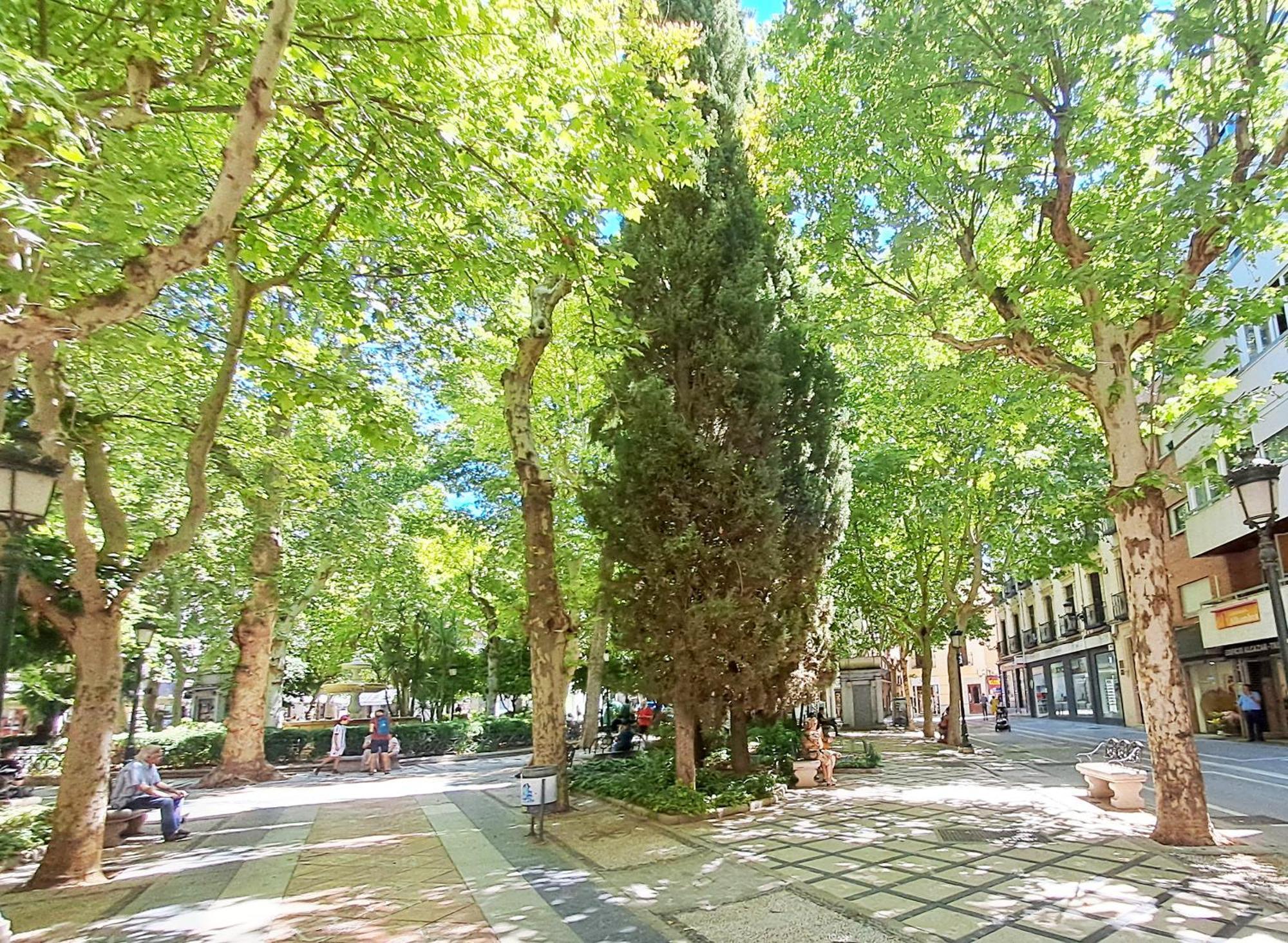 Apartasuite Centro Historico Atico Tranquilo Y Luminoso En El Corazon De กรานาดา ภายนอก รูปภาพ