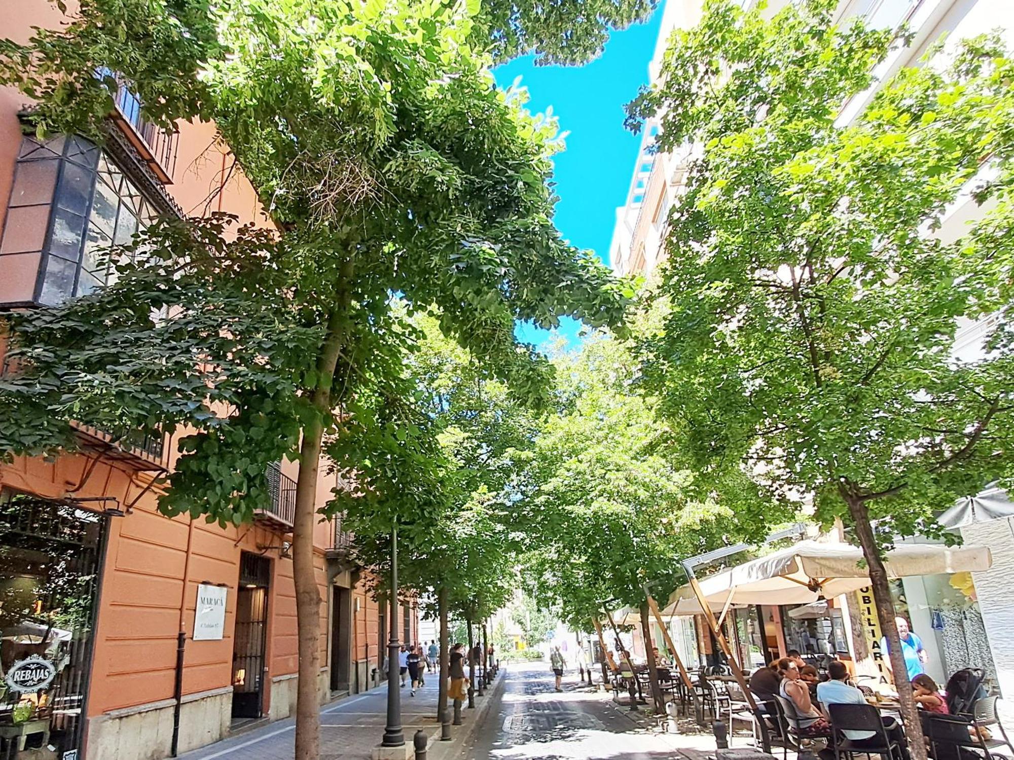 Apartasuite Centro Historico Atico Tranquilo Y Luminoso En El Corazon De กรานาดา ภายนอก รูปภาพ
